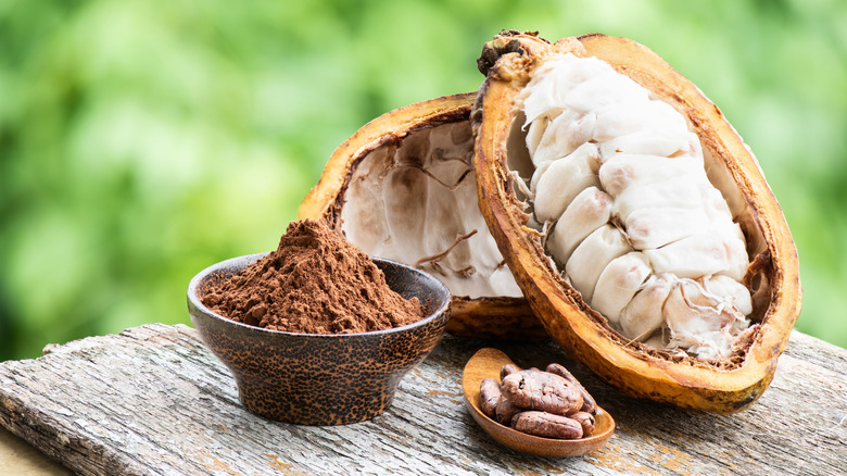Cacao Beans